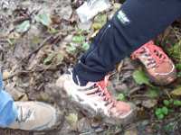 2014.10.12 - 37. Harzgebirgslauf - 45